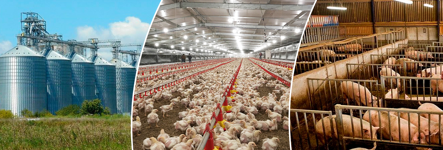Proteção para Silos, Aviários e Pocilgas